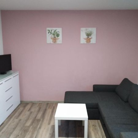 Apartmany Kovadlina 4 فريمبورك المظهر الخارجي الصورة